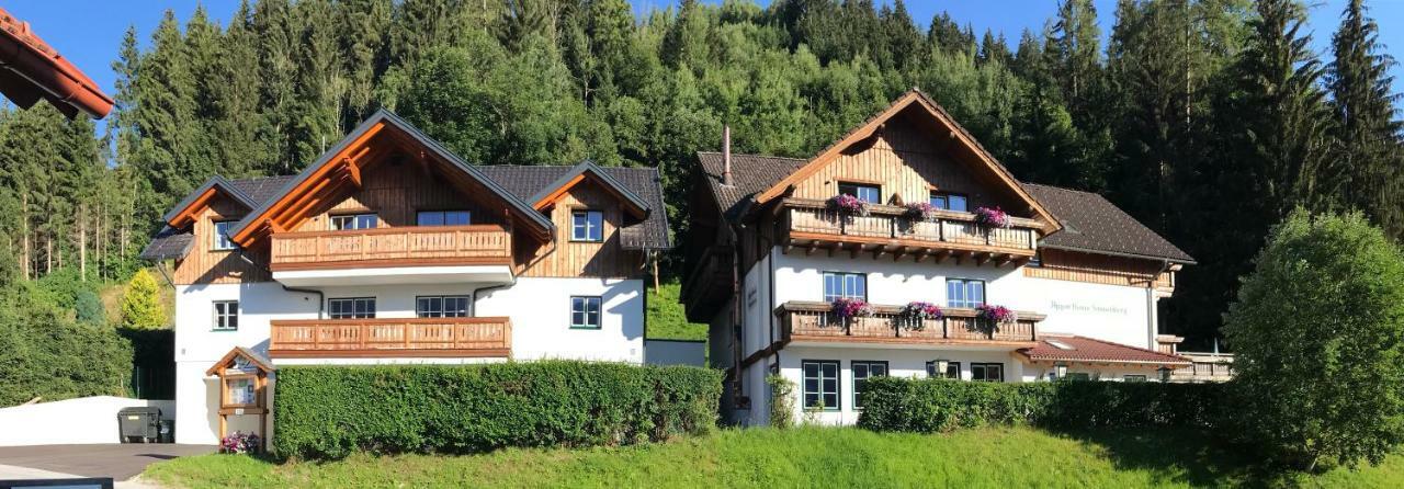 Апартаменты Platzhirsch Хаус-им-Энншталь Экстерьер фото